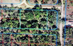 NE 52ND Street, WILLISTON, FL 32696