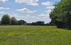 12077 County Road 1200, Malakoff, TX 75148