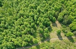 3625 E SIMMONS RD, HESSEL, MI 49745