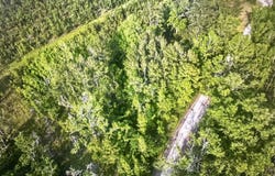NE Rue Drive, Pinetta, FL 32350