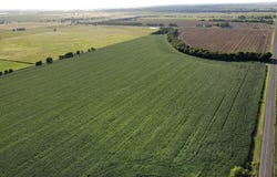 Tbd Cotton Belt, McGregor, TX 76657