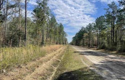 10730 Yeager, Hastings, FL 32145