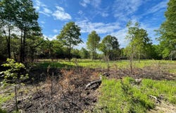 TBD 1980 RD, Soper, OK 74759