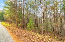 167 Balfour Drive, Harriman, TN 37748
