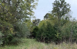 0-Lot 1 Moneta Road, Moneta, VA 24121