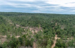 Tract 4 Hidden Valley, Annapolis, MO 63628