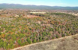 40 Liberty Flats, Muse, OK 74949