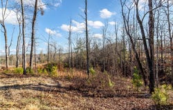 54 River Overlook Lane, Ellijay, GA 30540