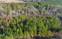 23 Painted Bunting Trail, Smithville, OK 74957