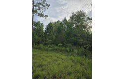 NE 124TH Terrace, WILLISTON, FL 32696