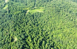 250 Plowman Dunn Rd, Irvine, KY 40336