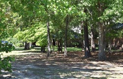 507 Oak, Manning, SC 29102
