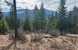5 Red Fir Lane, Noxon, MT 59853