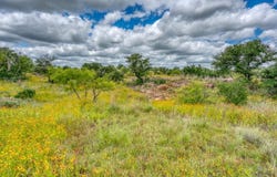 10 Acres Schneider Loop, Llano, TX 78643-0000