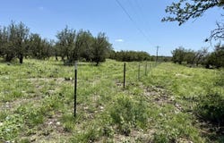 1081 Whitetail Trail, Eldorado, TX 76936