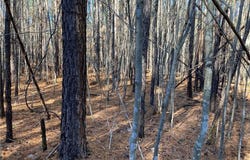 00 NC Highway 134 N, Star, NC 27356