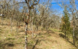 2083 Knowles Road, Medford, OR 97501