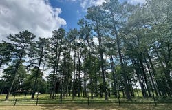 17132 Hwy 87 N, Wiergate, TX 75977