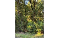 2530 Co Rd 45, Reform, AL 35461
