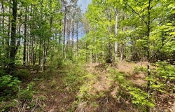 112 County Road 427, VARDAMAN, MS 38878