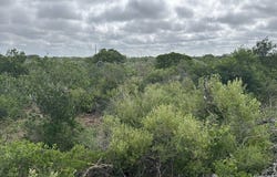 73 Rocky Hls, Uvalde, TX 78801