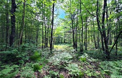 Xxx Bellwood Pit Road, Lake Nebagamon, WI 54849