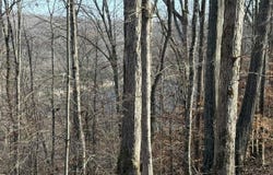 Mountain Harbor Drive lot: 13, Sparta, TN 38583