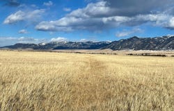 Lonesome Dove Road lot: 25 Tbd, Cameron, MT 59720