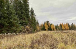 BERGLAND ROAD, Ogema, WI 54459