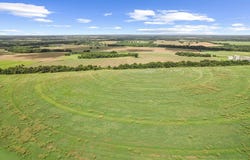 74 Acres HWY 431, Headland, AL 36345