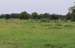 0000 County Road 2383, Pickton, TX 75471