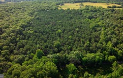 14.5 AC PCL A- OFF VIRGINIA LINE RD, BERKELEY SPRINGS, WV 25411