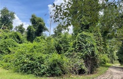 8.73 Acres WONIE COUSIN Road, Lacombe, LA 70445