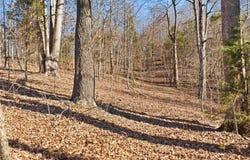 6346 Little Hickory Road, Philpot, KY 42366