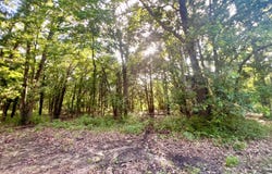 12295 S Bee Emet Rd, Milburn, OK 73450