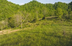 Lots 8 Big Springs Road, Eidson, TN 37731