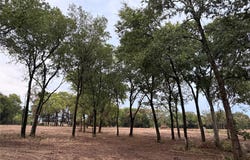 4772 County Road 707, Alvarado, TX 76009