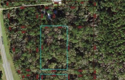 Miller Side Road, Lloyd, FL 32337