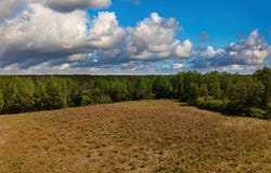 0000 Clarendon Chadbourn Rd., Clarendon, NC 28432