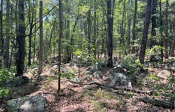 215P&Q Tram Trail, Moyers, OK 74557