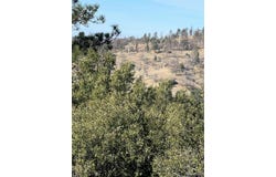 25301 paramount Drive, Tehachapi, CA 93561