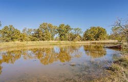 Tbd N Virginia, Eastland, TX 76448