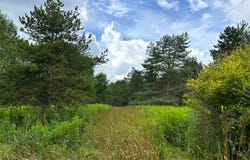 0 Rt 39, Bliss, NY 14024