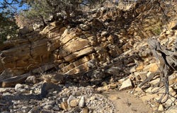 1957 DEER CANYON Trail, Mountainair, NM 87036