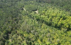 TBD CR 557, Perronville, MI 49873