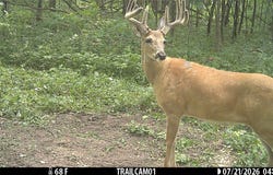 15.01 Acres 160th Avenue, Maiden Rock, WI 54750