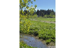 4124 Lariat Way, Island Park, ID 83429