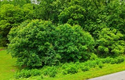 Mountain Perkins Lane, Jacksboro, TN 37757