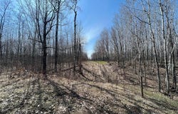 Tbd Gulley Road, Maple, WI 54854