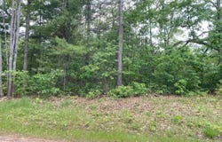 7402 Tammy Drive, Indian River, MI 49749
